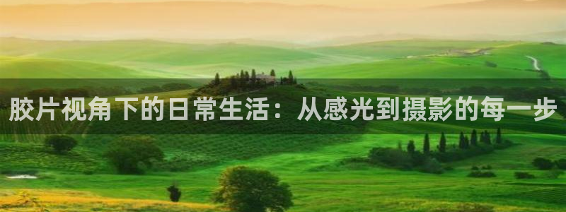 糖心vlog色破解版：胶片视角下的日常生活：从感光到摄影的每一步